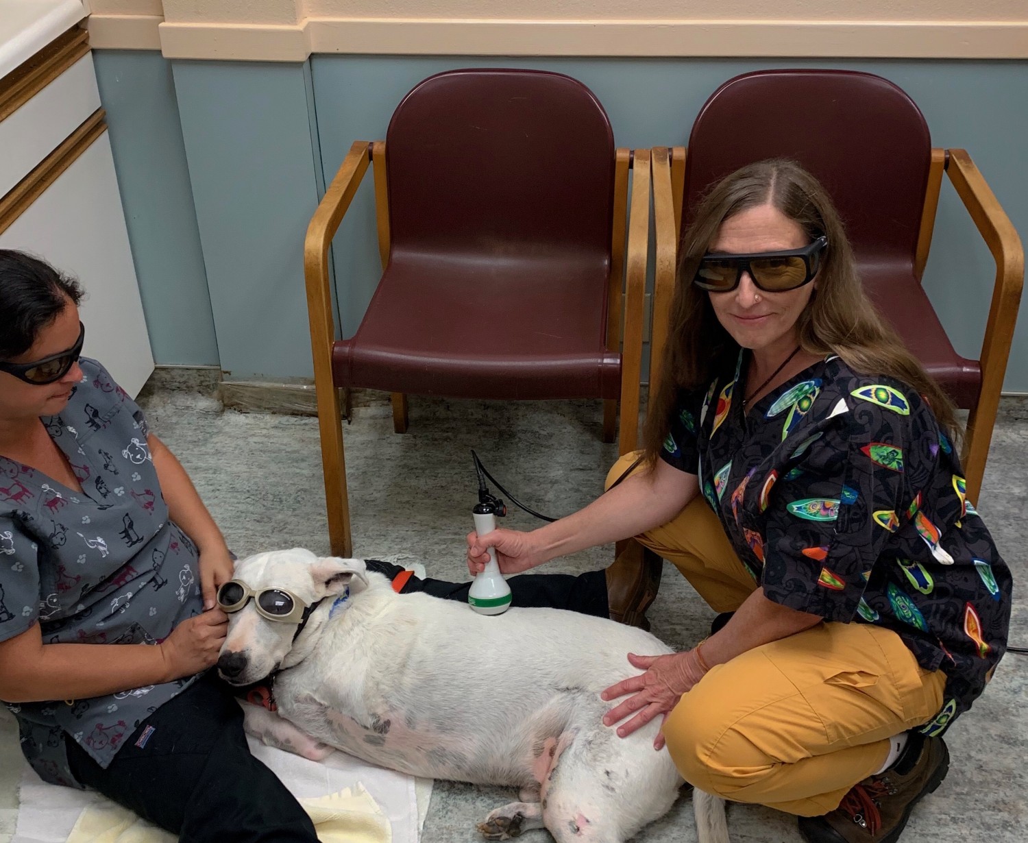 Dr. Shaw, Veterinary Assistant Noe, and Jack, sporting protective eyewear while performing a laser treatment.